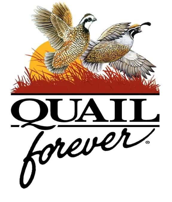 QF-logo-horizontal