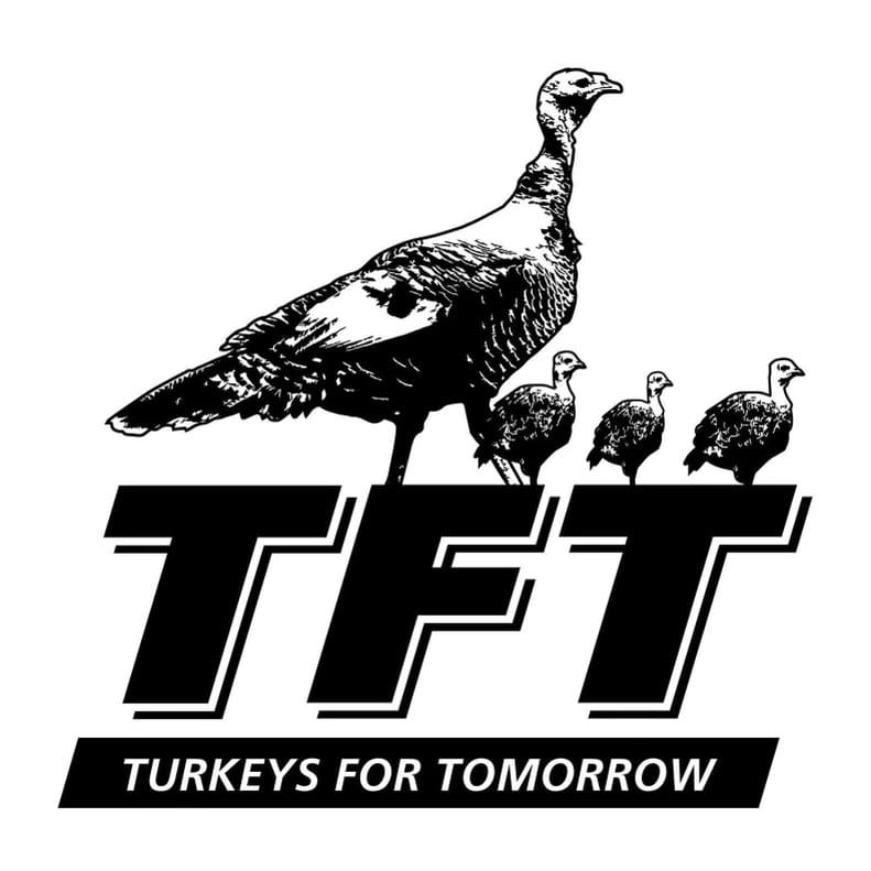TFT-Logo