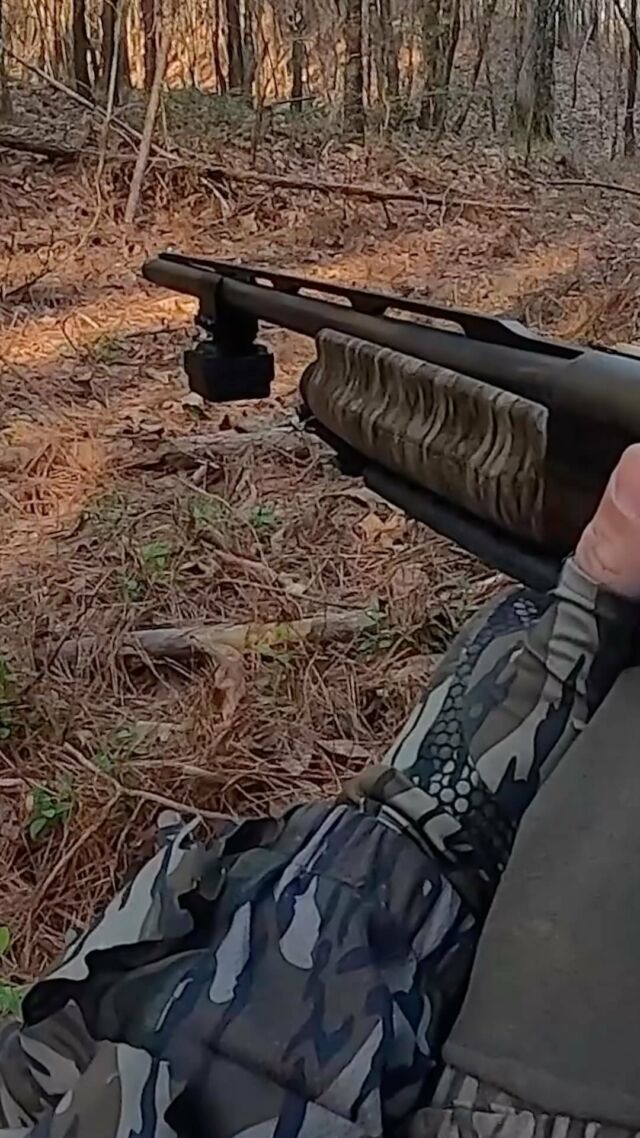 All strategy on tomorrows episode. And of course one of those hard gobbling Georgia Eastern turkeys!
