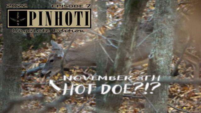 So I dropped one on Tuesday, it’s cool to drop another one today right? 

A doe with this look gets me a little excited during November, even as a turkey guy. 😁